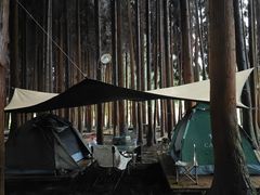 -武陵山森林公园