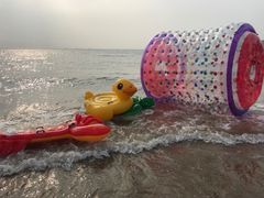 -西中岛海滨