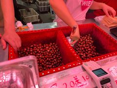 -高记桂花糖炒栗(鼓楼店)