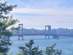 -星海湾跨海大桥