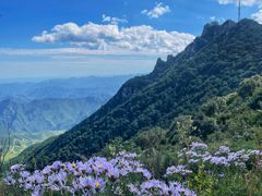 -白草畔自然风景区