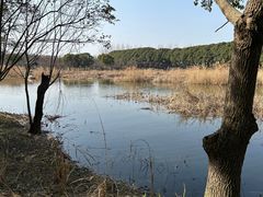 -同里国家湿地公园