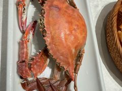 -珊海荟海鲜楼·天津菜·海肠捞饭·皮皮虾锅贴王(佛罗伦萨店)