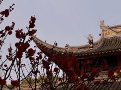 -西园戒幢律寺