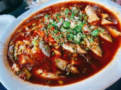 -龙翔山庄雷鸡肉(青城后山泰安古镇店)