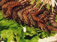 -辉哥火锅(虹桥路店)