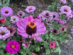 -长兴太湖图影湿地文化园