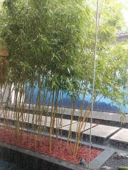 -爱儿美儿童摄影(朝阳公园店)