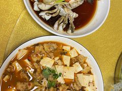-煲来饱去冷水鱼