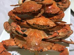 -宾朋海鲜特色美食餐厅·纯手工鲅鱼水饺(兴海路店)