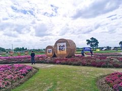 -嘉北郊野公园