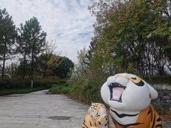 -长田漾湿地公园