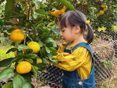 -前小桔亲子创意农场·草莓采摘·露营烧烤