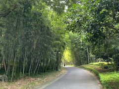 -苏州环秀晓筑养生度假村