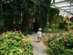 景点-观光南瓜园