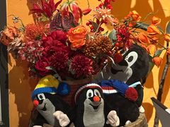 -布拉格餐厅· 中欧捷克菜(全国首店)