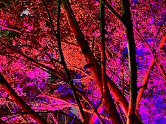 -白沙门生态公园