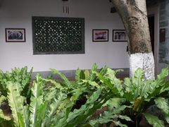 -广州神农草堂中医药博物馆
