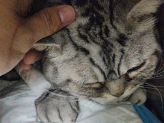 -达爱动物医院·犬猫分区·CT·复杂眼科(远洋山水分院)