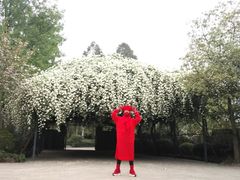 -白鹭湾湿地公园