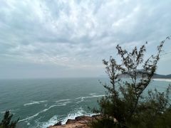 -广东惠东海龟国家级自然保护区