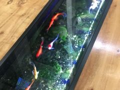 -红糖水都·女生特炖·中式滋补炖(北辰店)