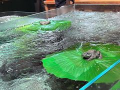 -传统菜农庄(皇姑路店)