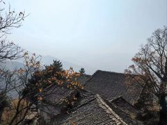 -太平万花山景区