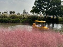 -嘉北郊野公园