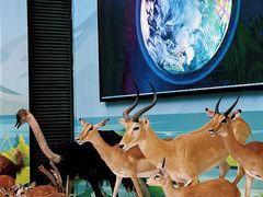 -陕西自然博物馆