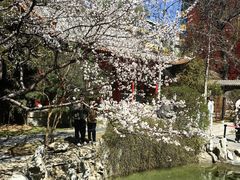 -碑林公园