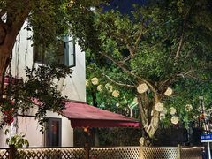 -三圣花乡旅游区