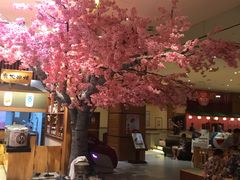 -大江户·温泉洗浴(浑南店)