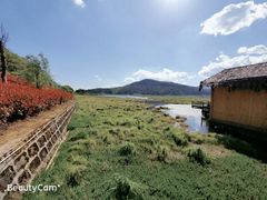 -腾冲北海湿地