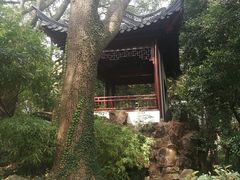 -汇龙潭