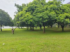 -东莞松山湖凯悦酒店