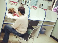 -北京观赏动物医院·24小时大型综合·猫专科·异宠专科