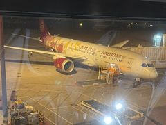 -上海浦东国际机场-T2航站楼