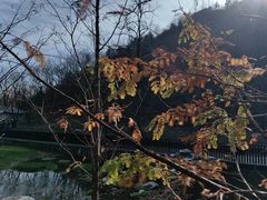 -白水寺森林公园