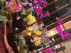 -扬子轩·中餐厅(合肥香格里拉店)