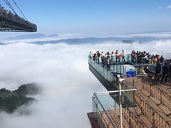 -梦幻奥陶纪景区