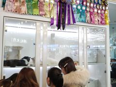 -猫冇咖·家门口的撸猫馆(大融城店)
