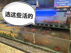 -星伦多自助料理·涮烤一体(奉贤龙湖天街店)