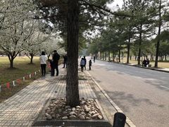 -同济大学(嘉定校区)