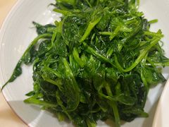 清炒豌豆尖-范家小馆·烤鸭新京菜(金融街店)