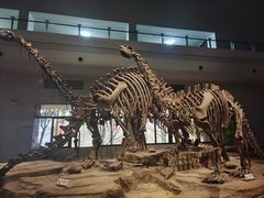 -自贡恐龙博物馆