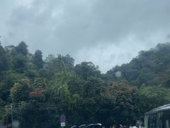 -野象谷景区