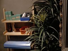 -施奈儿.洗头頭療.按摩SPA.采耳(上梅林店)