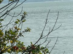 -东钱湖旅游度假区