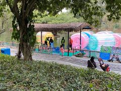 -深圳野生动物园